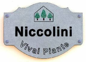 Stemma Vivai